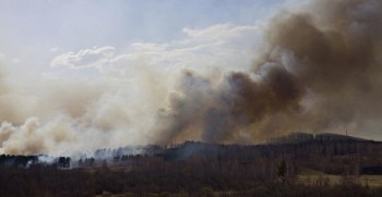 Forest fire in South Ural, Russia.